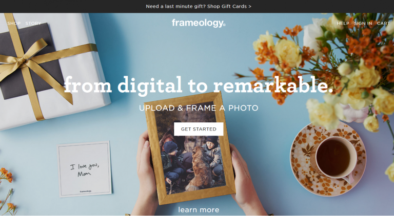 FrameologY
