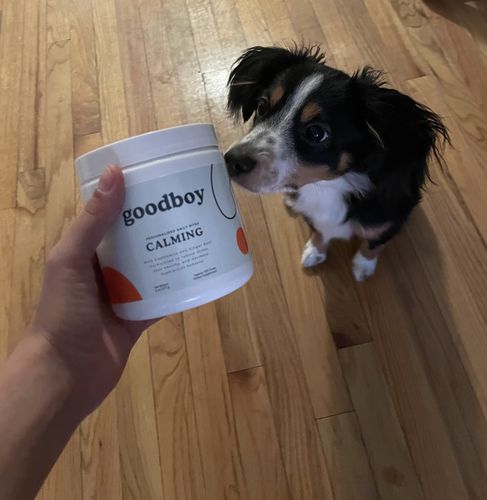 trygoodboy
