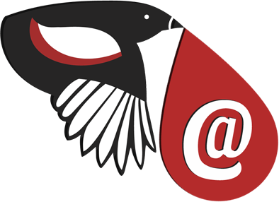 emailmagpie