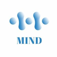 mindinterview