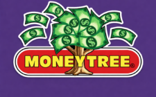 moneytree