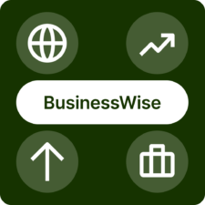 businesswise