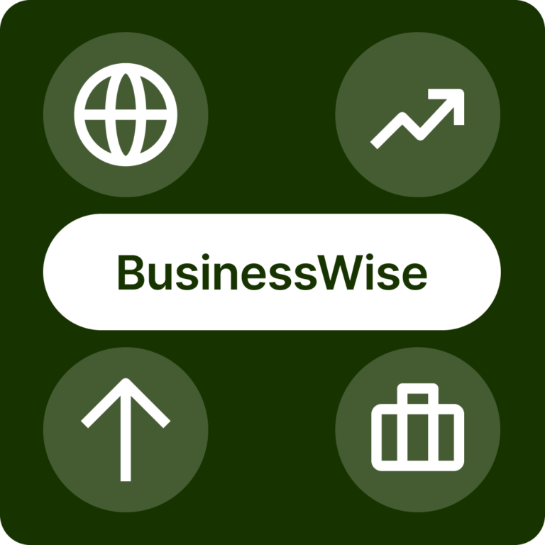 businesswise