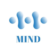 mindinterview