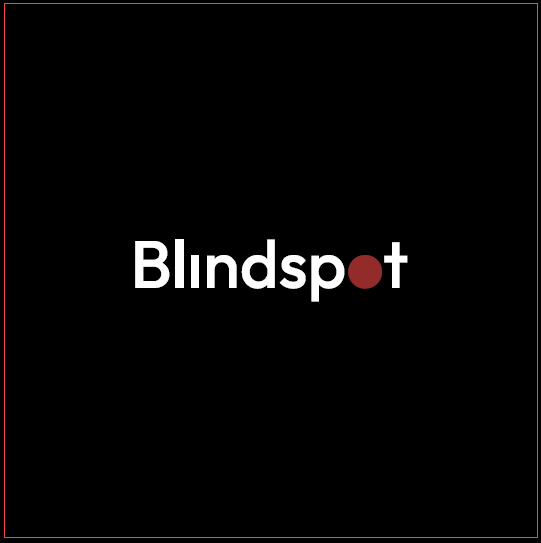 seeblindspot